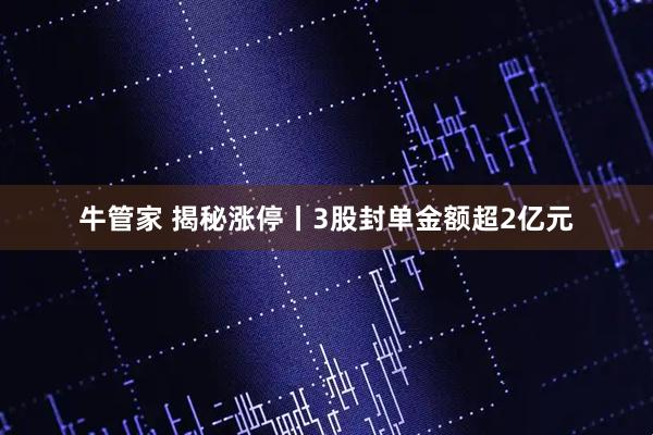 牛管家 揭秘涨停丨3股封单金额超2亿元