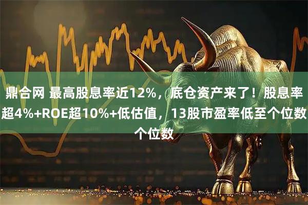鼎合网 最高股息率近12%，底仓资产来了！股息率超4%+ROE超10%+低估值，13股市盈率低至个位数